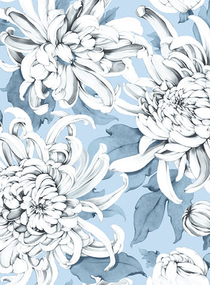 Audrey Dress #4 Shirt Collar 3/4 Sleeve Midi Length Musola (Chrysanthemum Flower)