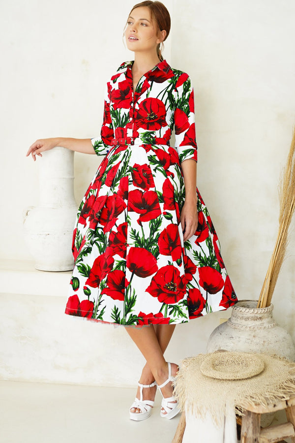 Lana Dress Shirt Collar 3/4 Sleeve Midi Cotton Stretch (Poppy Poland Big)