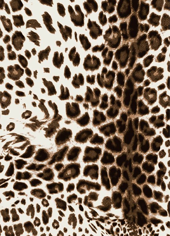 Audrey Dress #4 Shirt Collar 3/4 Sleeve Long Length Cotton Musola (Pierre Leopard)