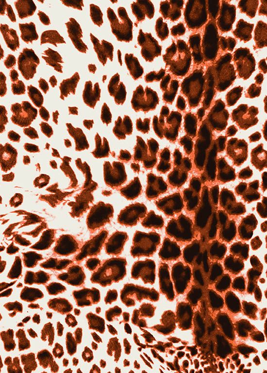 Audrey Dress #4 Shirt Collar 3/4 Sleeve Long Length Cotton Musola (Pierre Leopard)