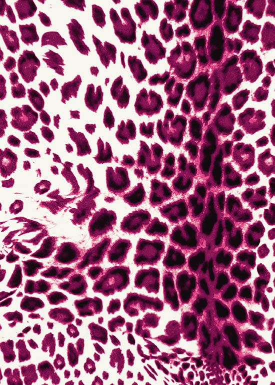 Audrey Dress #4 Shirt Collar 3/4 Sleeve Long Length Cotton Musola (Pierre Leopard)
