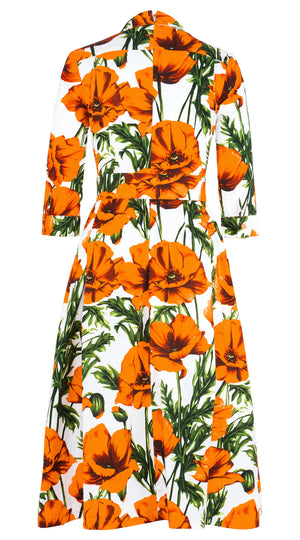 Lana Dress Shirt Collar 3/4 Sleeve Midi Length Cotton Stretch (Poppy Polland)
