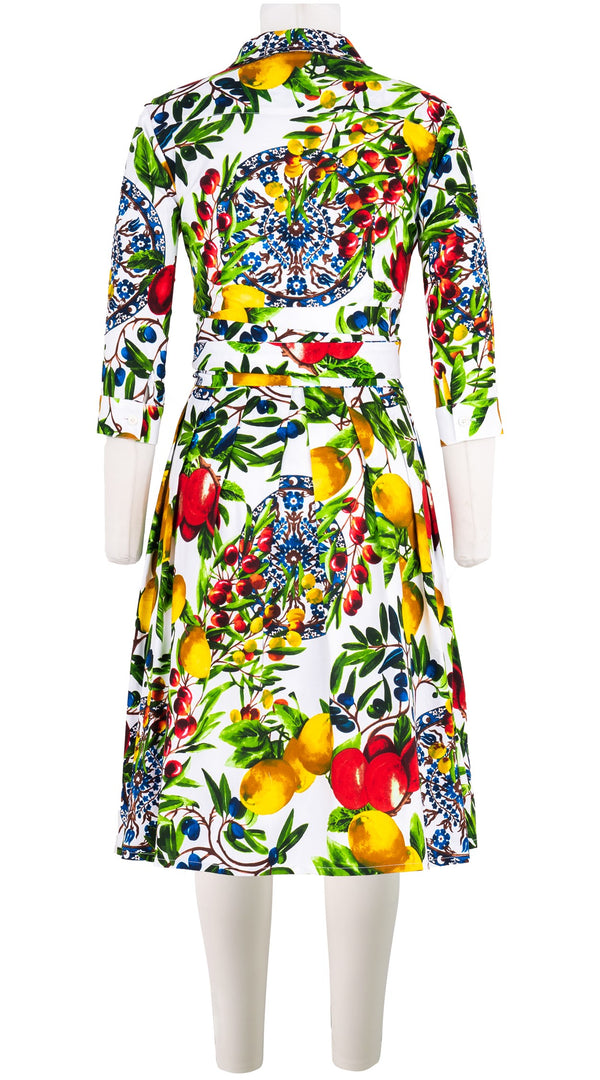 Audrey Dress #1 Shirt Collar 3/4 Sleeve Cotton Stretch (Tuscan Olive Lemon Big)