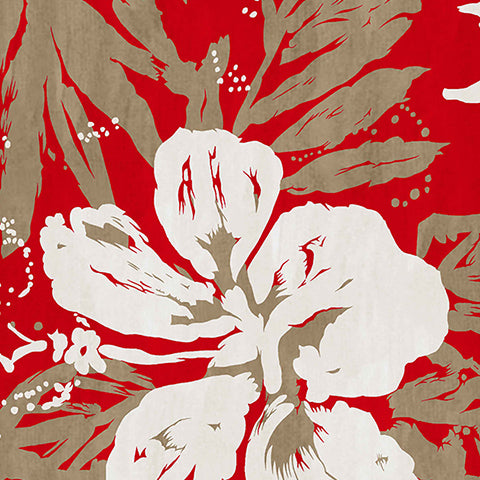 Ohau Hibiscus