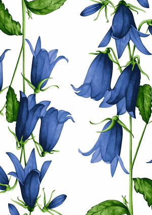 [Create Your Own] Cotton Musola (Blue Bell Flower Small White)