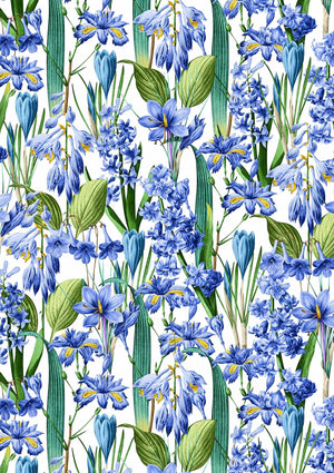 [Create Your Own] Cotton Stretch (Crocus Hyacinth White)