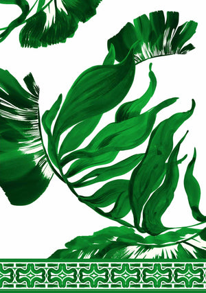[Create Your Own] Cotton Stretch (Foxtail Palm)