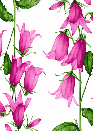 [Create Your Own] Cotton Stretch (Blue Bell Flower Small White)
