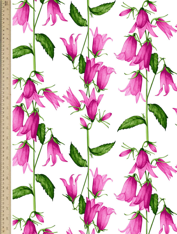 [Create Your Own] Cotton Stretch (Blue Bell Flower Small White)