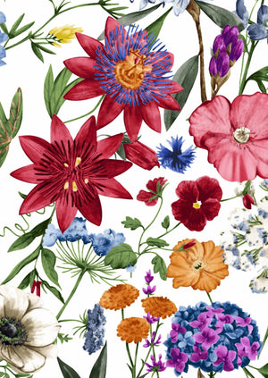 [Create Your Own] Cotton Stretch (Multicolor Botanic Small)