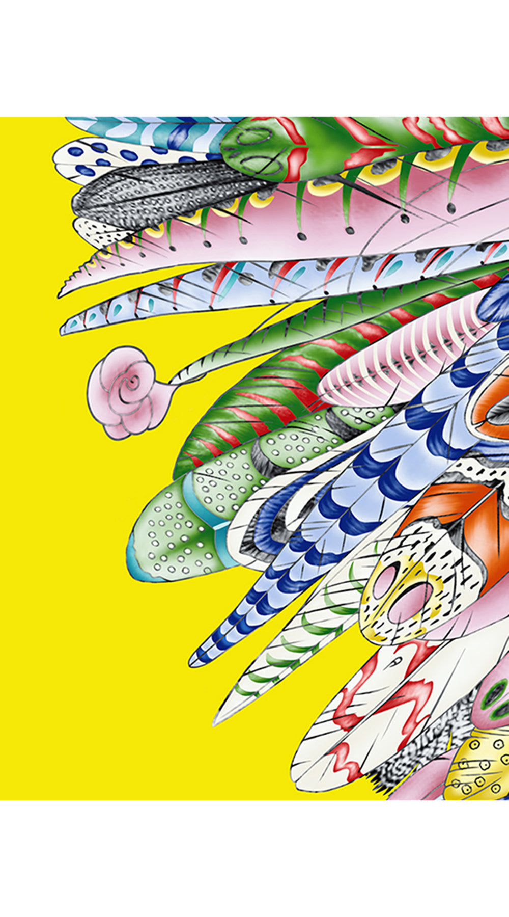 Aster Dress Contrast Shirt Collar 3/4 Sleeve Midi Length Cotton Musola (African Feather)