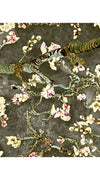 Audrey Dress #2 Shirt Collar Short Cuffed Sleeve Cotton Stretch (Almond Blossom)