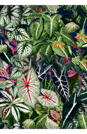 Leah Pants Poliamide Taffta (Amazonia Leaves)
