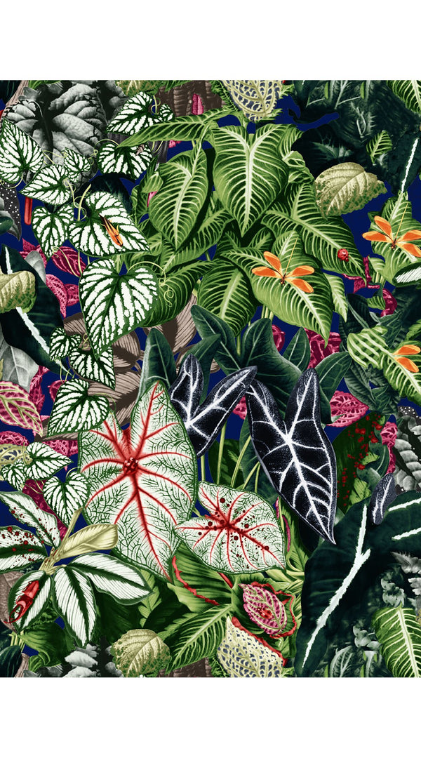 Patricia Dress Shirt Collar 3/4 Sleeve Midi Length Length Silk GGT (Amazonia Leaves)