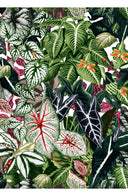 Leah Pants Poliamide Taffta (Amazonia Leaves)