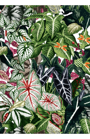 Leah Pants Poliamide Taffta (Amazonia Leaves)