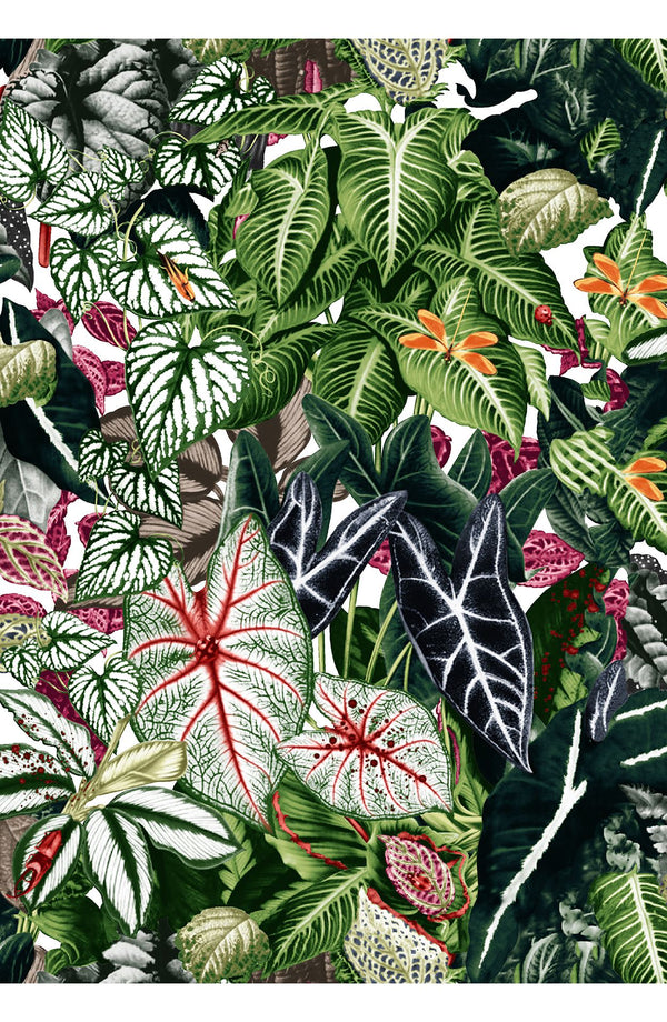 Leah Pants Poliamide Taffta (Amazonia Leaves)