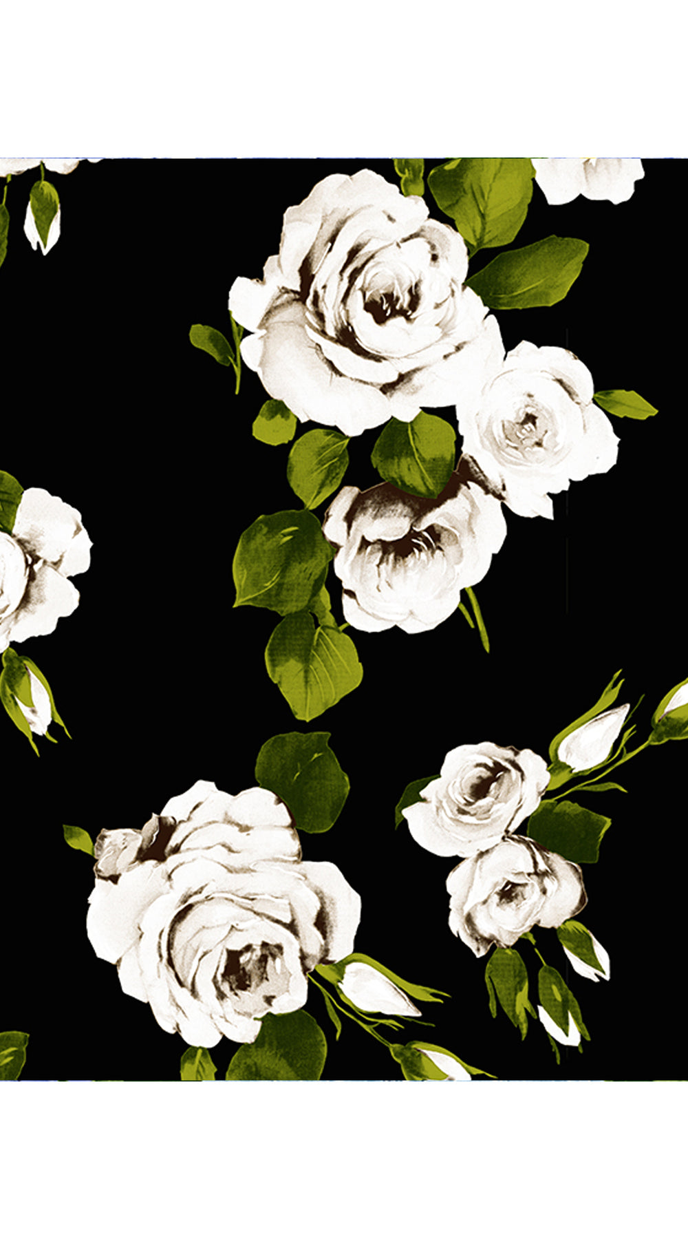 Audrey Dress #1 Shirt Collar 3/4 Sleeve Long Length Cotton Stretch_Amber Queen_Black