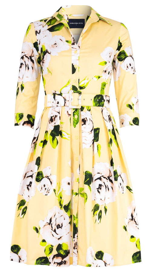 Audrey Dress #1 Shirt Collar 3/4 Sleeve Regular Length Cotton Stretch (Amber Queen)