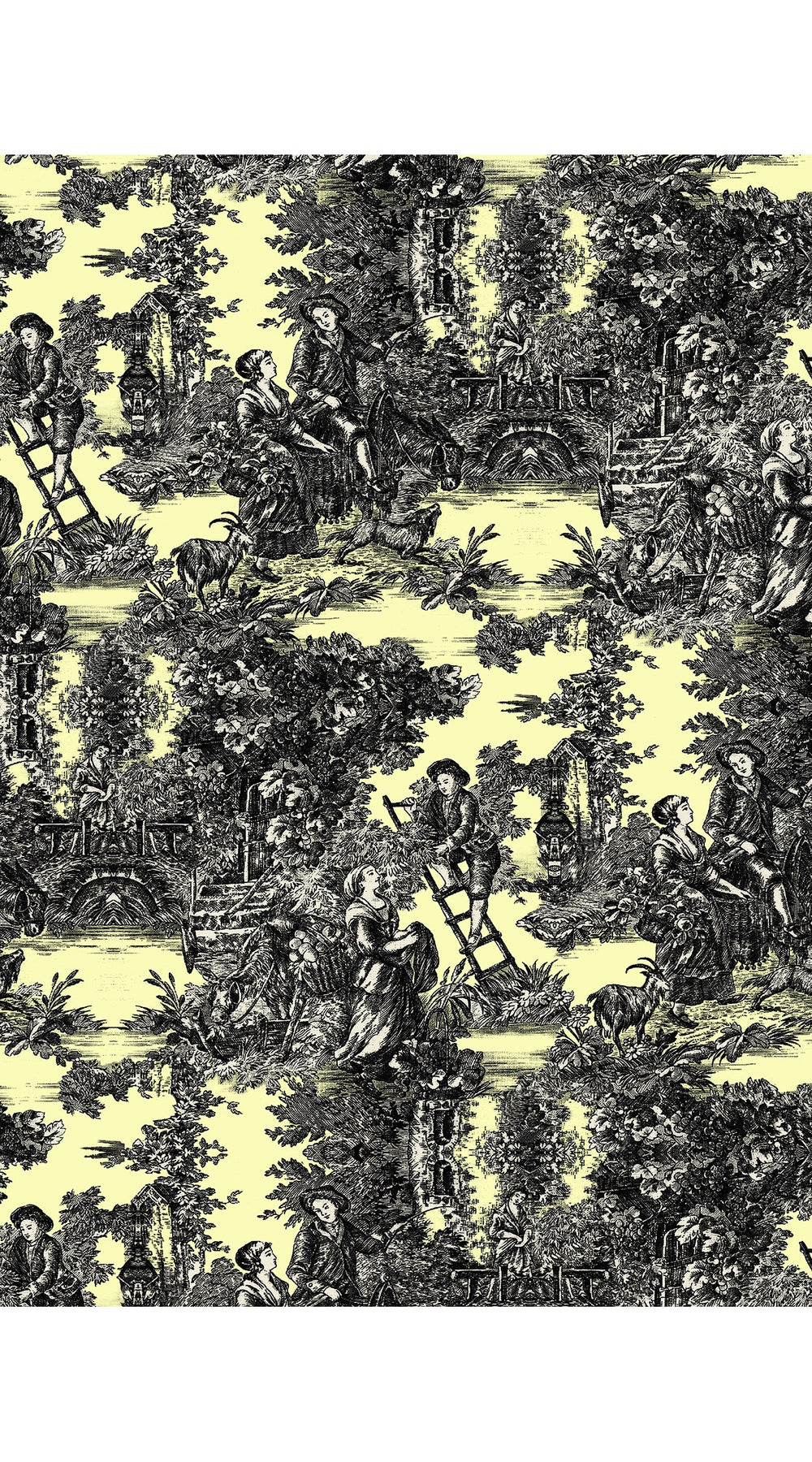 Laurent Dress Shirt Collar 3/4 Sleeve Midi Length Cotton Stretch (Antilles Toile Pastel)