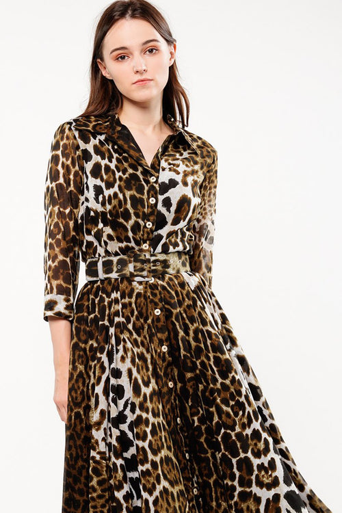 Aster Dress Shirt Collar 3/4 Sleeve Midi Length Cotton Musola (Colombo Leopard)