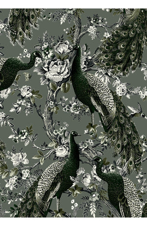Terry Dress Shirt Collar 3/4 Sleeve Midi Plus Length Poliamide Taffta (Belvedere Peacock)