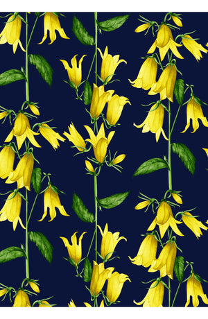 Aster Dress Shirt Collar 3/4 Sleeve Midi Length Cotton Musola (Blue Bell Flower Pastel)