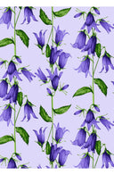 Aster Dress Shirt Collar 3/4 Sleeve Midi Length Cotton Musola (Blue Bell Flower Pastel)