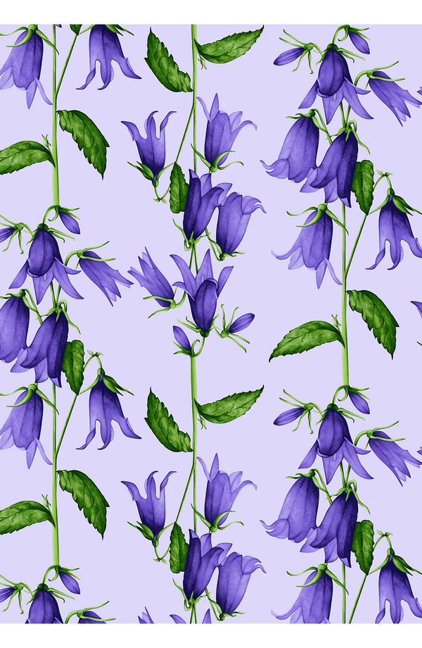 Aster Dress Shirt Collar 3/4 Sleeve Midi Length Cotton Musola (Blue Bell Flower Pastel)