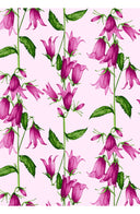 Aster Dress Shirt Collar 3/4 Sleeve Midi Length Cotton Musola (Blue Bell Flower Pastel)