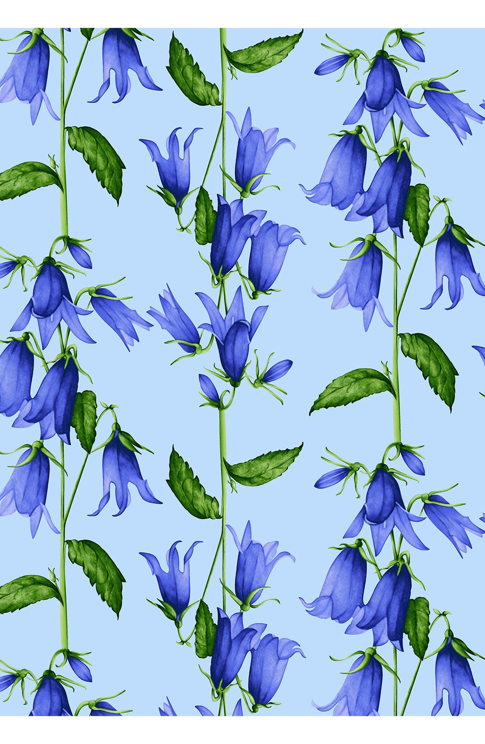 Amber Dress Shirt Collar 3/4 Sleeve Midi Length Cotton Stretch (Blue Bell Flower Pastel)