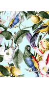Florance Dress High Off Shoulder Band Sleeve Long Length Cotton Stretch (Blue Bird)