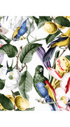 Florance Dress High Off Shoulder Band Sleeve Long Length Cotton Stretch (Blue Bird)