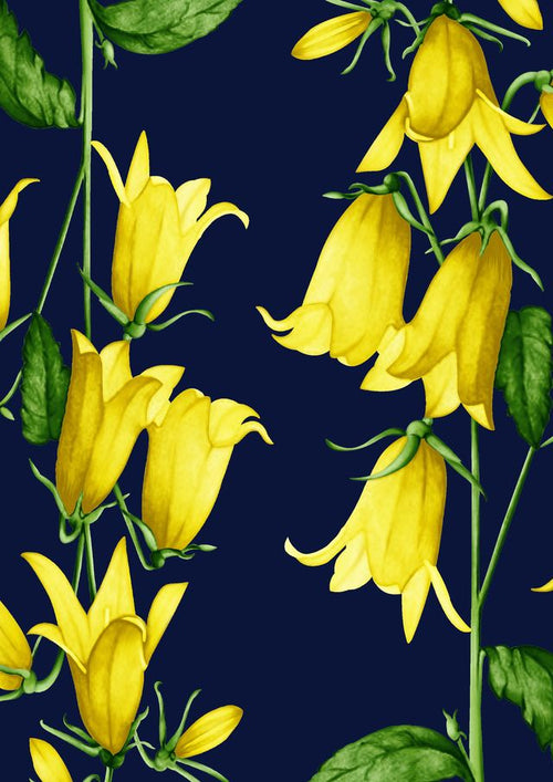 Audrey Dress #1 Shirt Collar 3/4 Sleeve Long Length Cotton Stretch (Blue Bell Flower Small Pastel)