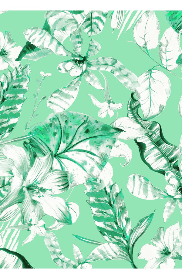 Audrey Dress #1 Shirt Collar 3/4 Sleeve Long Length Cotton Stretch (Botanic Santuary)