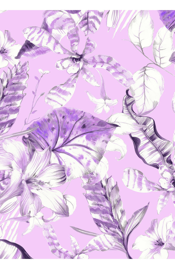 Audrey Dress #1 Shirt Collar 3/4 Sleeve Long Length Cotton Stretch (Botanic Santuary)