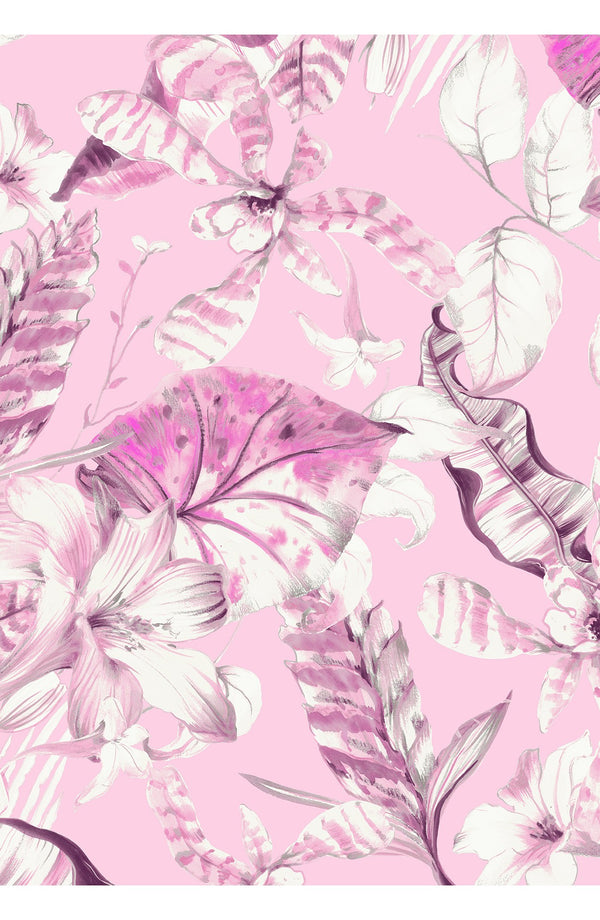 Audrey Dress #1 Shirt Collar 3/4 Sleeve Long Length Cotton Stretch (Botanic Santuary)