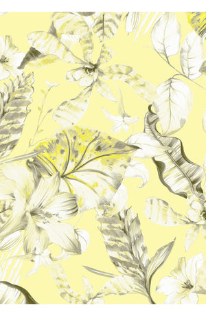 Audrey Dress #2 Shirt Collar 3/4 Sleeve Midi Length Cotton Stretch (Botanic Santuary)