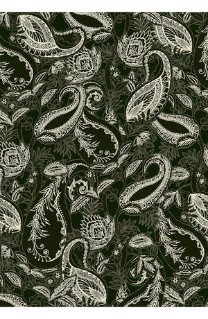 Audrey Dress #1 Shirt Collar 3/4 Sleeve Long Length Cotton Stretch (Cachemere Paisley Dark)