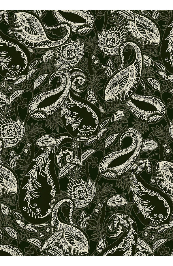 Audrey Dress #1 Shirt Collar 3/4 Sleeve Long Length Cotton Stretch (Cachemere Paisley Dark)