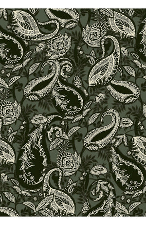 Audrey Dress #1 Shirt Collar 3/4 Sleeve Long Length Cotton Stretch (Cachemere Paisley Dark)