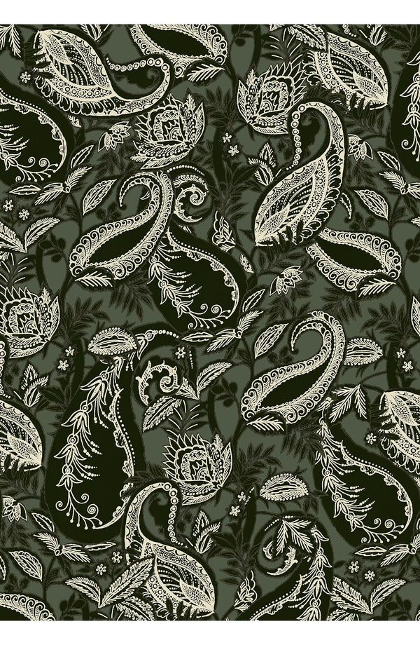 Audrey Dress #1 Shirt Collar 3/4 Sleeve Long Length Cotton Stretch (Cachemere Paisley Dark)