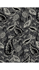 Nova Shirt Long Sleeve & Nova Pants Poliamide Taffta (Cachemere Paisley Dark)