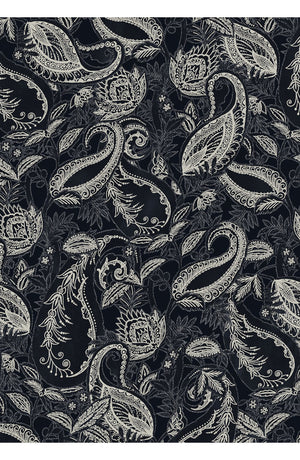 Audrey Dress #1 Shirt Collar 3/4 Sleeve Long Length Cotton Stretch (Cachemere Paisley Dark)