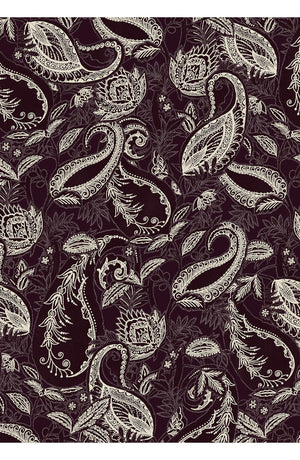 Audrey Dress #1 Shirt Collar 3/4 Sleeve Long Length Cotton Stretch (Cachemere Paisley Dark)