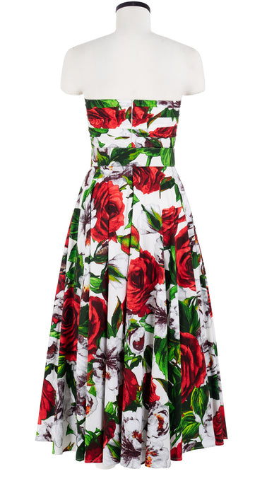 Carol Dress Tube Strapless with Hamilton Belt Midi Plus Length Cotton Stretch (Casanova Rose All Over Bright)