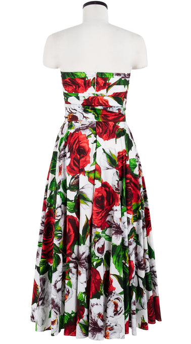 Carol Dress Tube Strapless with Hamilton Belt Midi Plus Length Cotton Stretch (Casanova Rose All Over Bright)