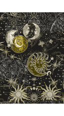 Leah Pants Nylon (Celestial Moon)