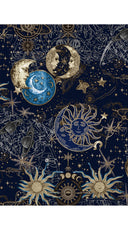 Leah Pants Nylon (Celestial Moon)