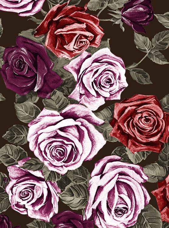 Patricia Dress Shirt Collar 3/4 Sleeve Long +3 Length Wool (Charlotte Rose Big Dark)